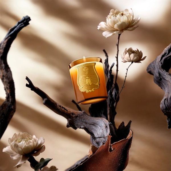 Altair Candle Hot on Sale - Image 3